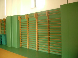Istituto Sacro Cuore Roma Scuola Sacro Cuore - Palestra e spalliere della scuola