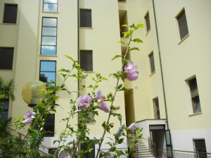 Istituto Sacro Cuore Roma Scuola Sacro Cuore - Esterno con fiori